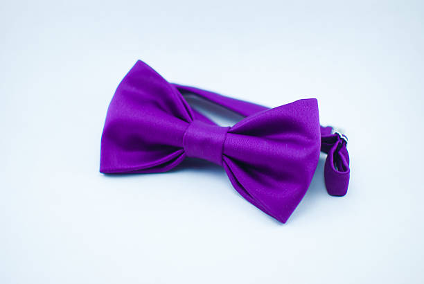 istock Classy fashionable violet bow-tie with flower pattern; isolated 637002852