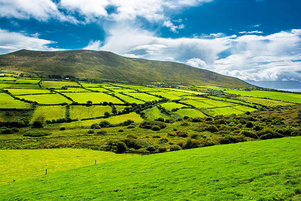 istock Rural Landscape With Pastures In Ireland 637002898