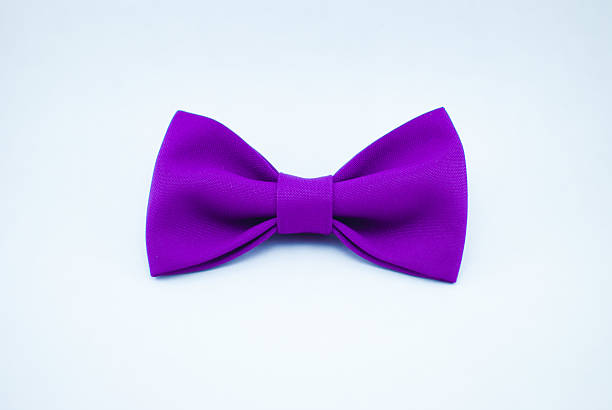 istock Classy fashionable violet bow-tie with flower pattern; isolated 637002900