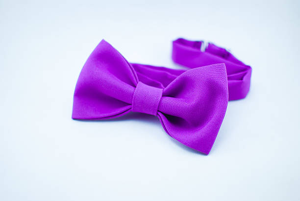 istock Classy fashionable purple bow-tie with flower pattern; isolated 637002912
