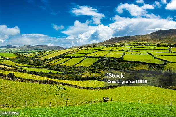 Ländliche Landschaft Mit Wiesen In Irland Stockfoto und mehr Bilder von Irische Kultur - Irische Kultur, Landschaft, Ländliches Motiv