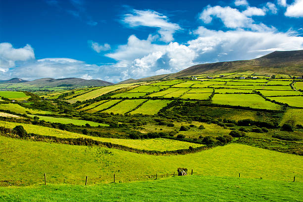 paesaggio rurale con pascoli in irlanda - ireland landscape foto e immagini stock