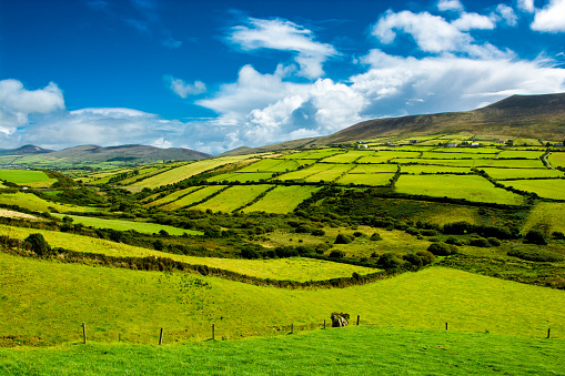 Rural Landscape With Pastures In Ireland