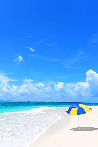 istock Beautiful beach in Okinawa 637004526