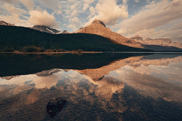 istock Waterfowl Lake sunrise 637009336