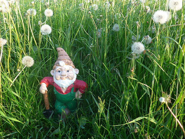 Garden dwarf with shovel during gardening