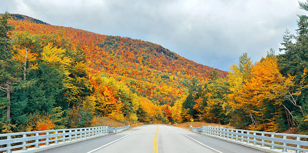 istock Highway and Autumn foliage 637013802