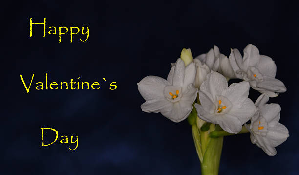 istock valentines day card with white flowers 637014524