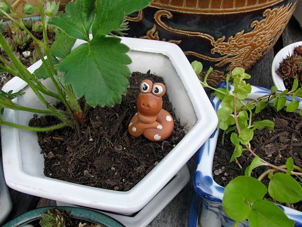 Funny little worm sitting in the flower pot
