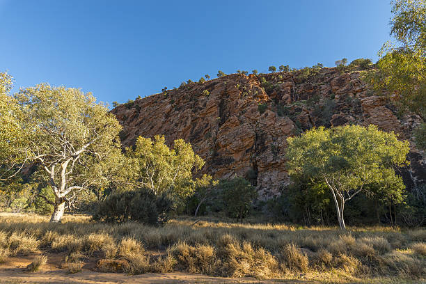 istock Emily Gap, Alice Springs, Australia 637017424