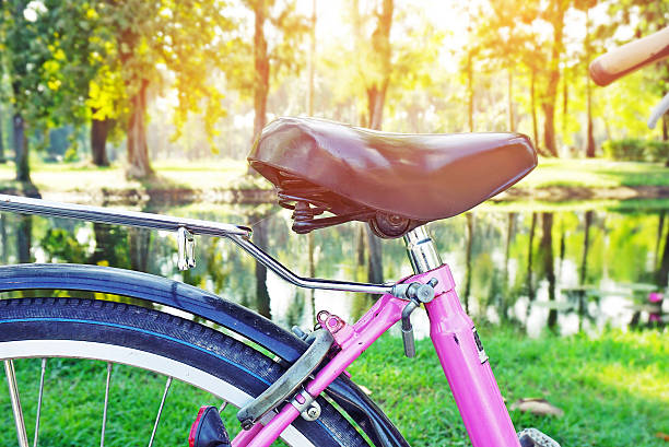 istock bicycle with blur background of nature and sunlight 637019364