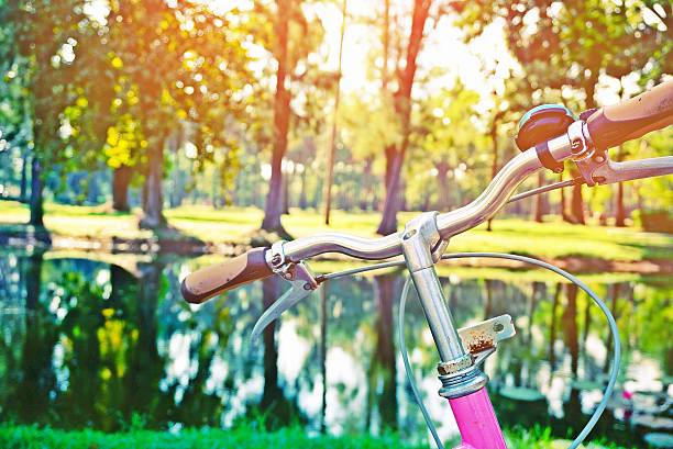 istock bicycle with blur background of nature and sunlight 637019402