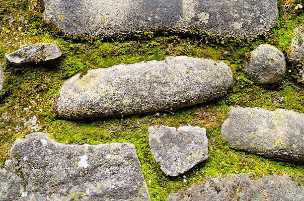 istock stones of an ancient path and moss 637020874