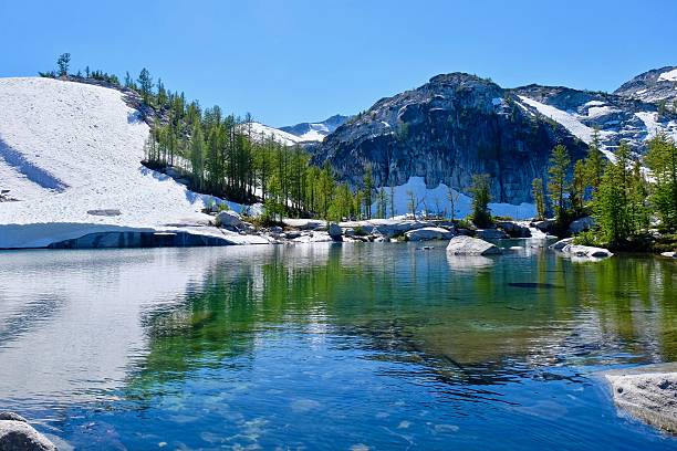 lago alpino, alberi e rocce innevate. - tree leavenworth snow sky foto e immagini stock