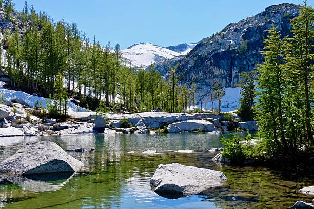 istock Alpine lake, trees and mountains. 637024646