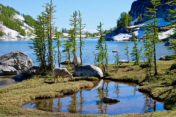 Crystal Lake. The Enchantments. Cascade Mountains. Seattle. Leavenworth. WA. United States.