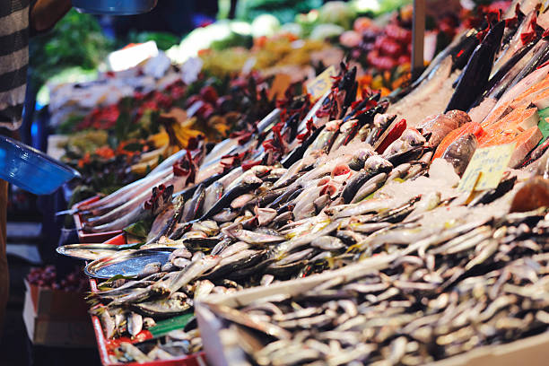 istock Fresh bonito fish in the market 637026102