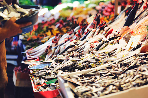 istock Fresh bonito fish in the market 637026226