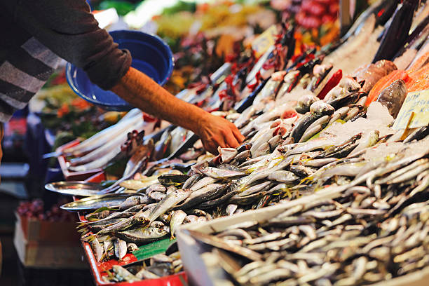 istock Fresh bonito fish in the market 637026578