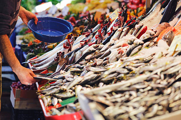 istock Fresh bonito fish in the market 637026716