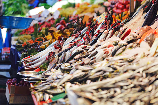 istock Fresh bonito fish in the market 637026784