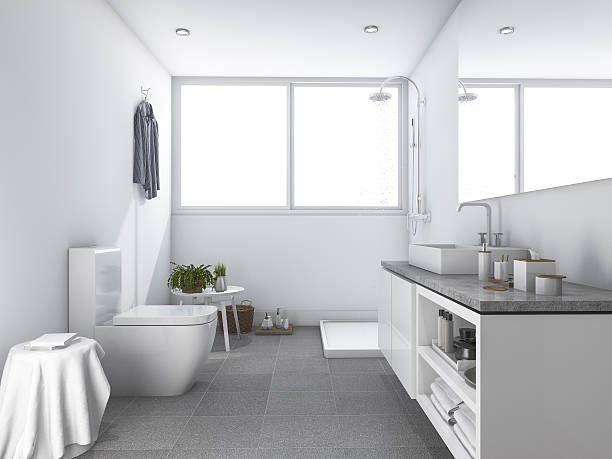 istock 3d rendering bright white clean toilet and bathroom 637029970