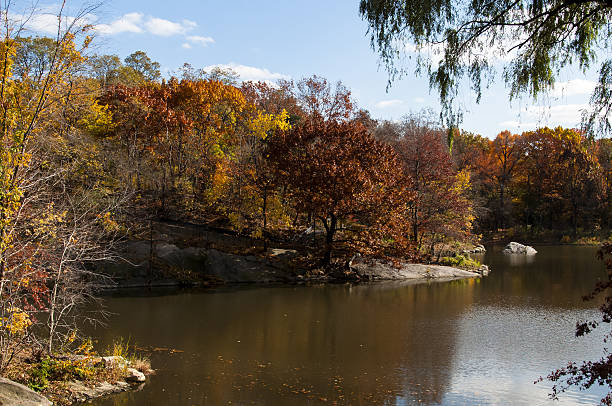 istock Autumn on Central Park, New York 637030436