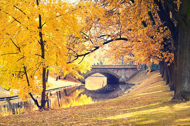 istock City park in autumn 637030472