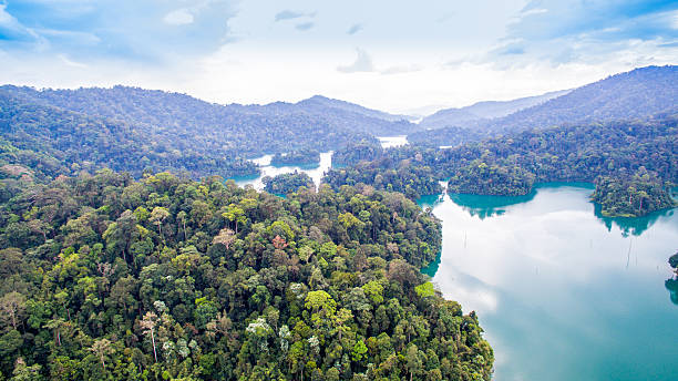 istock the biggest rainforest national park in Thailand 637034636