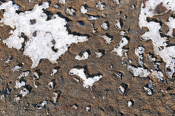 Frozen ground Winter background, directly above stock photo
