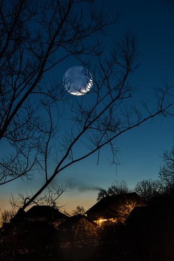 Dramatic Halloween sky with full moon and ravens silhouette on tree branch