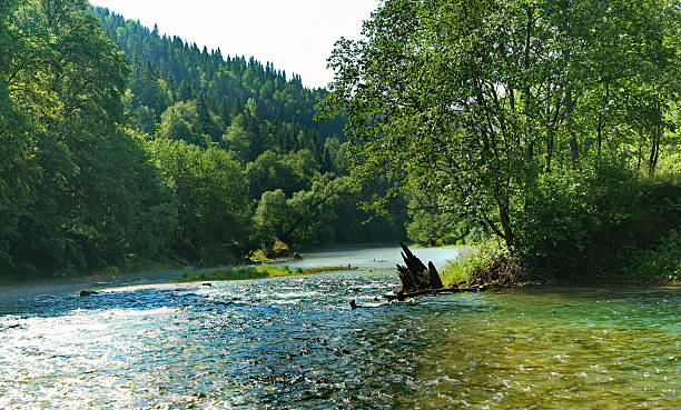 istock Old dilapidated dam in river, which flows along the woodland 637037226