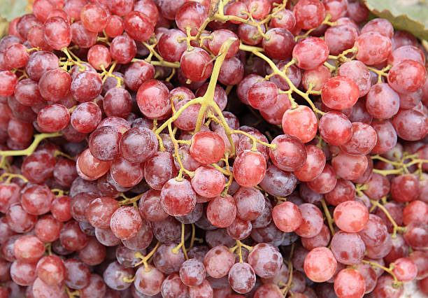 istock fresh grapes selling at market 637041346