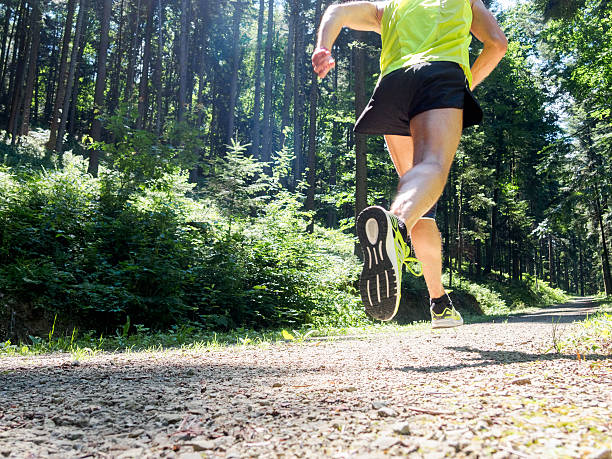 istock Male runner running on road through forest. Back view. 637041718