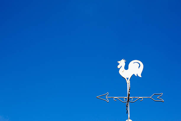 istock White rooster weather vane show the wind 637043092