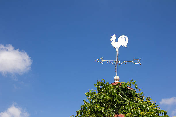 istock White rooster weather vane show the wind 637043104