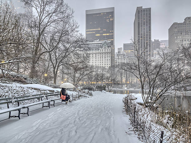 istock Central Park, New York City blizzard 637044280
