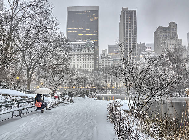 istock Central Park, New York City blizzard 637044298
