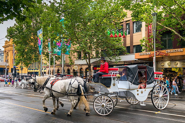 Melbourne horse and carriage tour Melbourne, Australia - December 27, 2016: Horse drawn carriages with tourists departing from Flinders Street station opposite Federation Square. chariot photos stock pictures, royalty-free photos & images