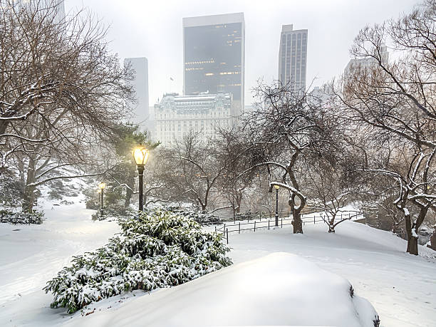istock Central Park, New York City blizzard 637044446
