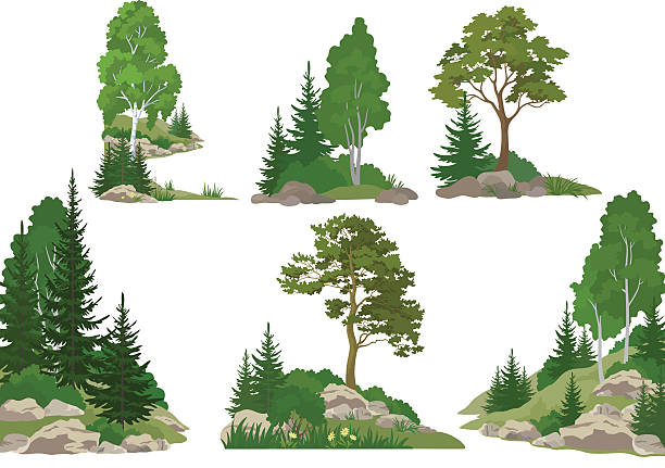 ilustraciones, imágenes clip art, dibujos animados e iconos de stock de paisajes con palmeras y rocas - tree crown