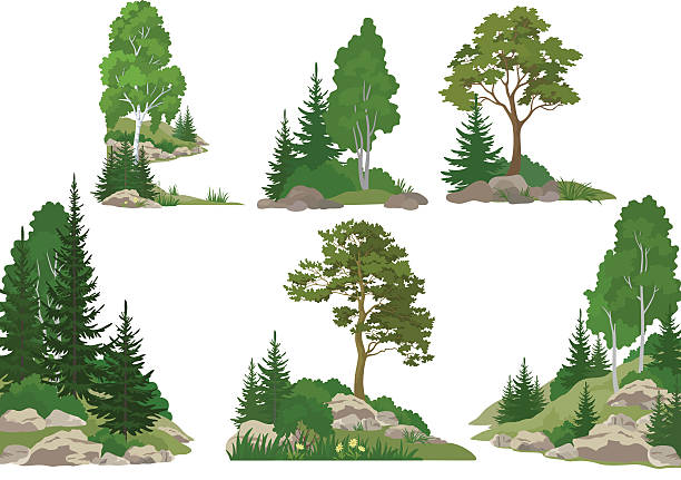 Landscapes with Trees and Rocks Set Landscapes, Isolated on White Background Coniferous and Deciduous Trees, Flowers and Grass on the Rocks. Vector bush stock illustrations