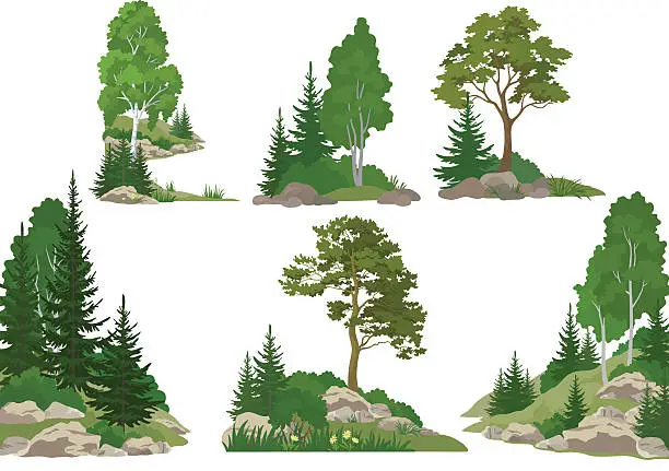 Vector illustration of Landscapes with Trees and Rocks