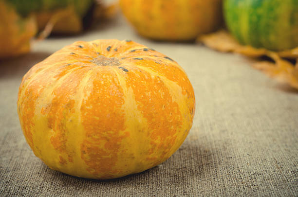 istock Fall pumpkin and decorative squash with autumn leaves on a 637049218