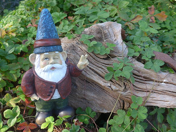 istock Garden dwarf  in front of a woodden root 637050788