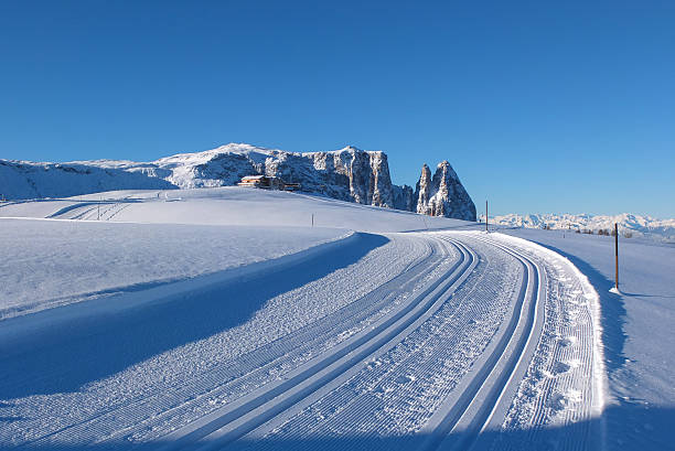 istock Typical wooden challet in the Dolomites 637051024