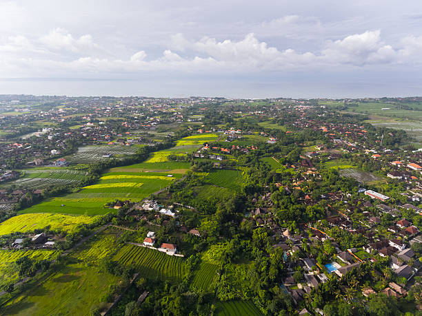 istock Aerial view of Bali 637053498