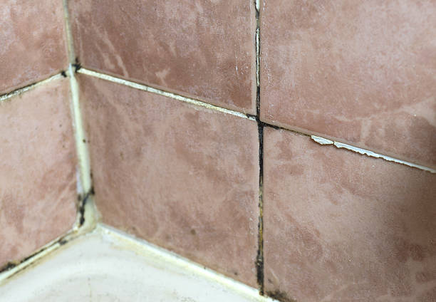 istock fungus growing on tile joints bathroom wall corner 637054234