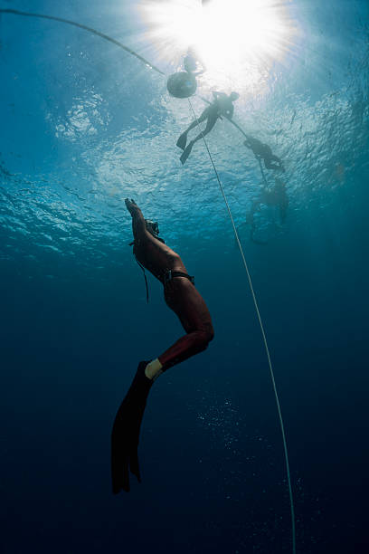istock Freediver in the tropical sea 637056242