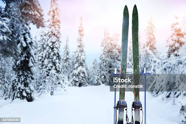 Cross Country Ski Trail With Retro Wood Skis And Ski Poles Stock Photo - Download Image Now